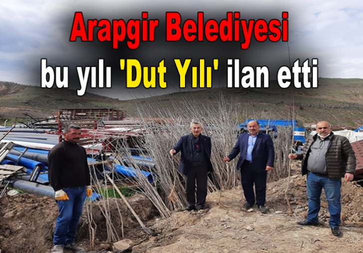 Arapgir Belediyesi bu yılı 'Dut Yılı' ilan etti