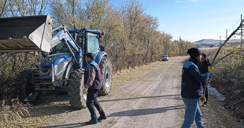 Arguvan Belediyesi Yol Kenarındaki Ağaçları Buduyor