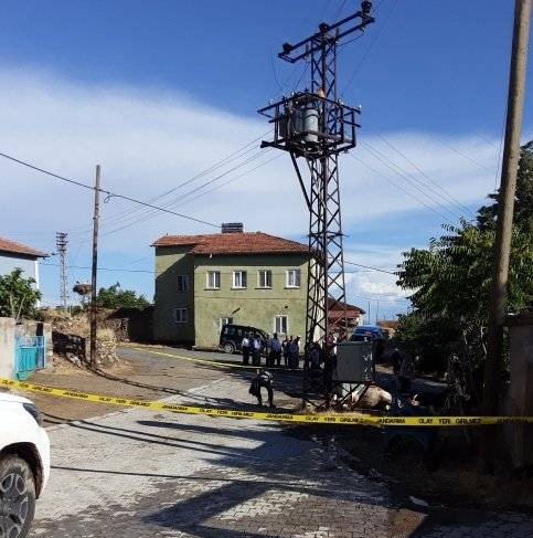Arguvan'da Elektrik Trafosu İneği Çarptı