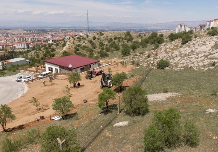 BEYDAĞI TABİAT PARKINDA ÇALIŞMALAR DEVAM EDİYOR