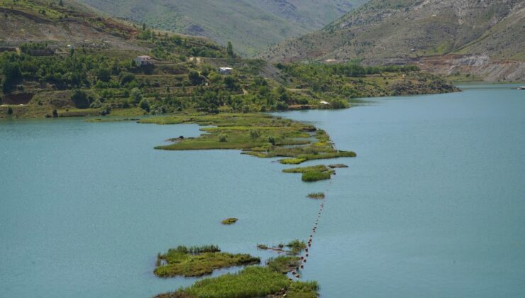 Çelikhan'da 'Yüzen Adalar'  artık yüzmüyor