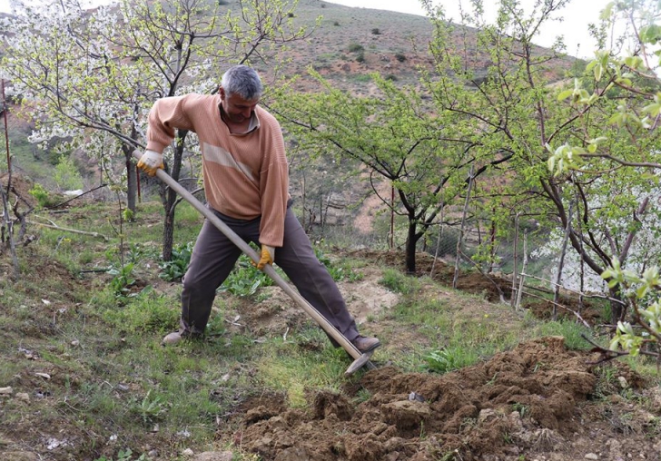 Çiftçiler araziye çıktı, Tarıma dört elle sarıldı