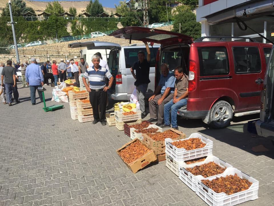 Darende'de Yeni Mahsül Kayısı Pazara İndi