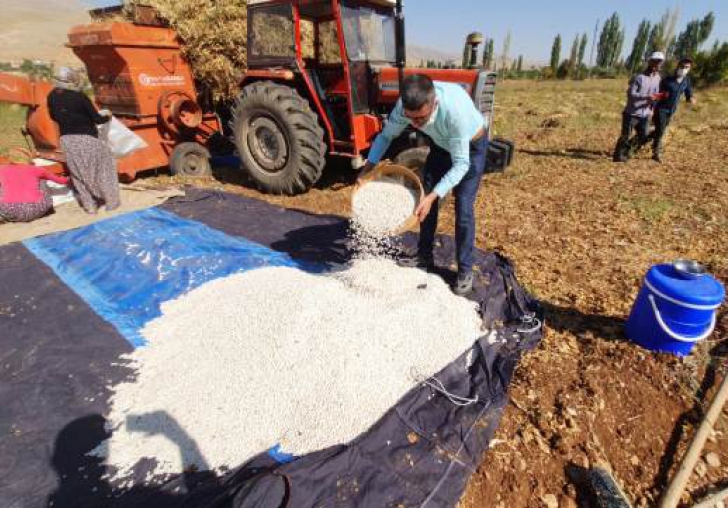 Esenlik, Doğanşehir Fasulyesi Satacak