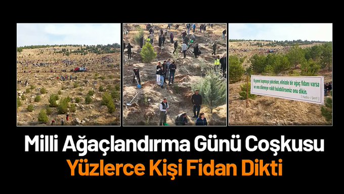 'Geleceğe ve insanlığa nefes' Ağaçları Dikildi