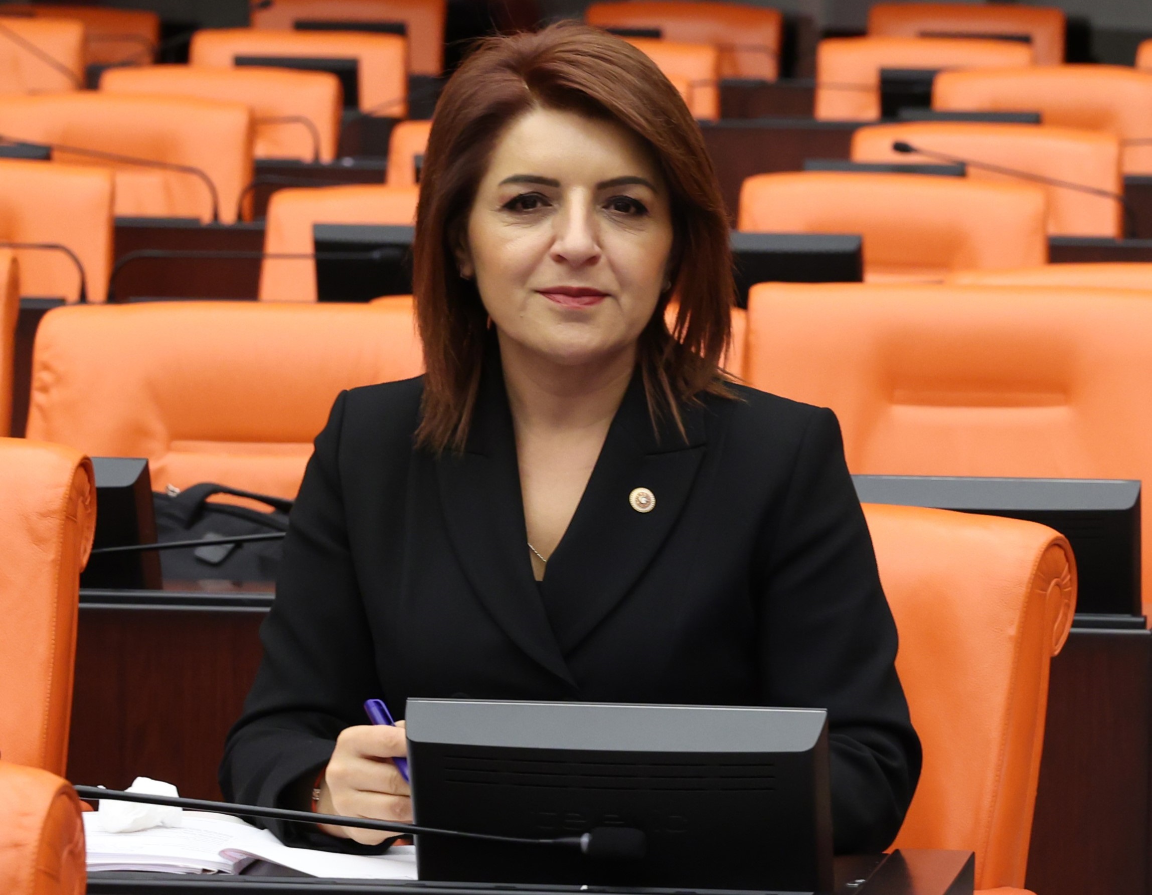 Gülcan Kış: İkizce'de Halkın Mülkiyet Hakkı İhlal Ediliyor