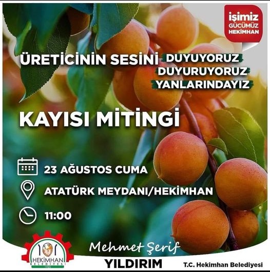 Hekimhan Kayısı Mitingine Hazırlanıyor