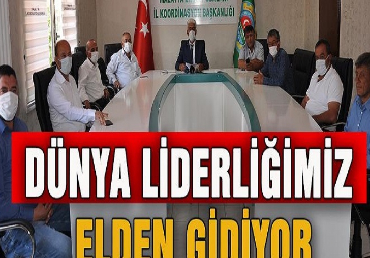 Kılınç: Kayısı da Dünya Liderliğimiz Elden Gidiyor