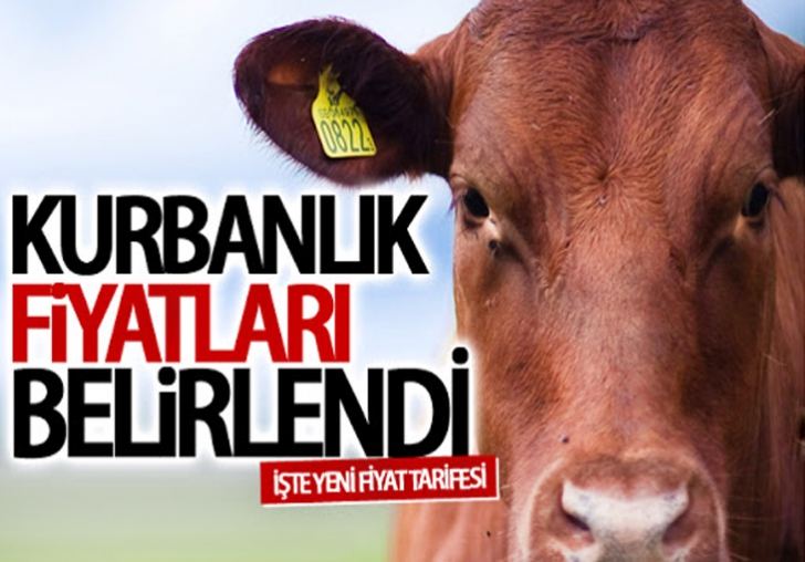 KURBANLIK FİYATLARI BELİRLENDİ.