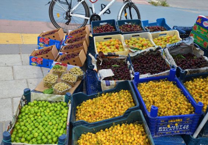 Malatya ürünleri pazara çıktı