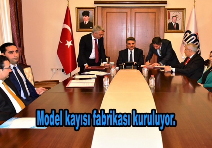 Model kayısı fabrikası kuruluyor.