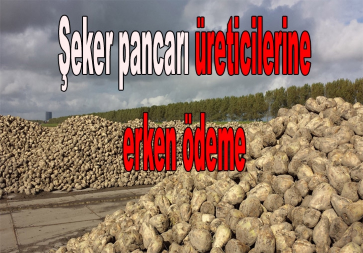 Şeker pancarı üreticilerine erken ödeme