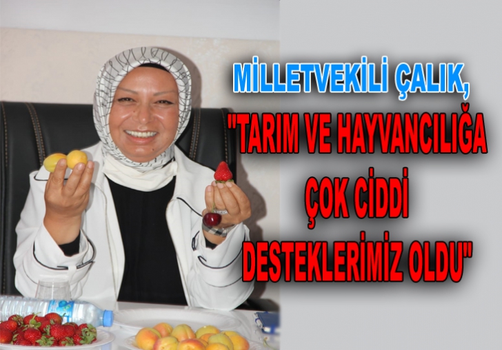 Tarım ve hayvancılığa çok ciddi desteklerimiz oldu 