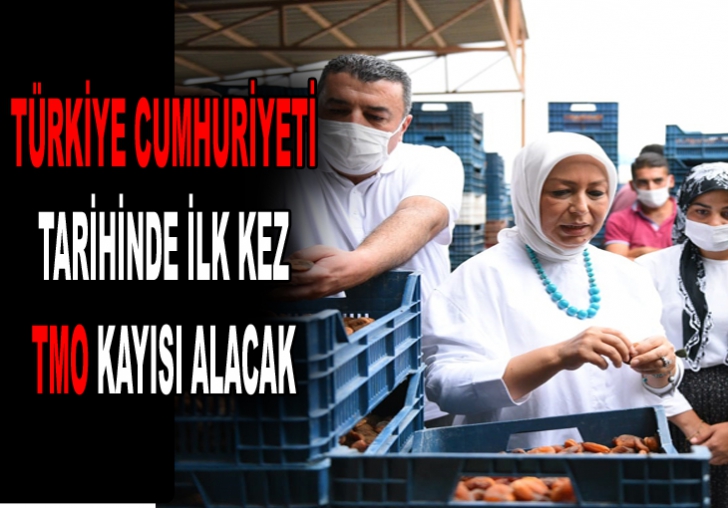 Türkiye Cumhuriyeti tarihinde ilk kez TMO kuru kayısı alacak