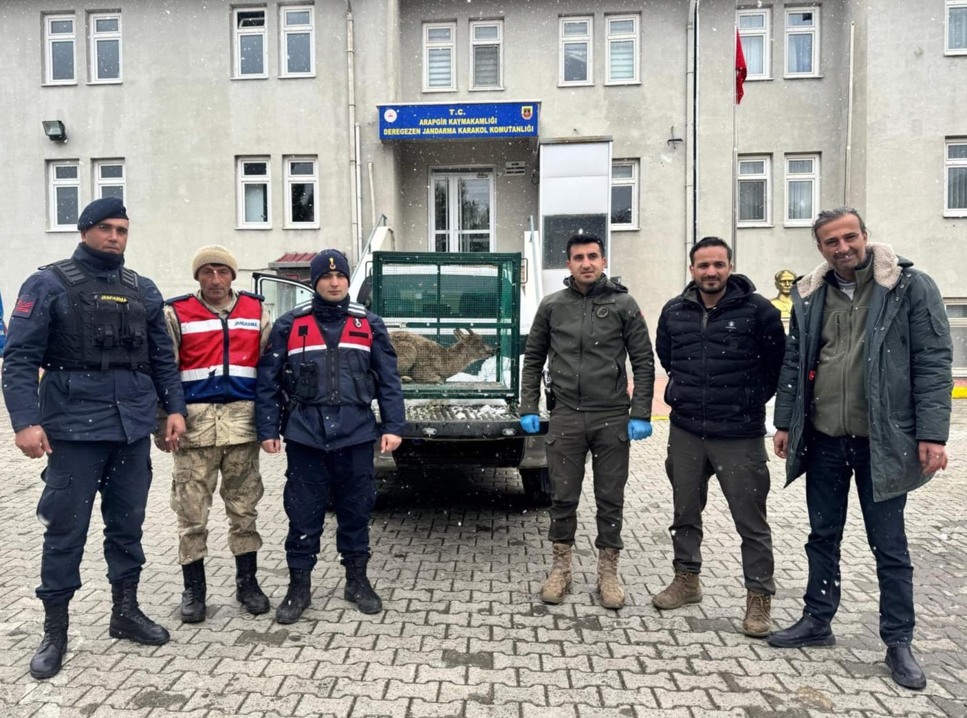 Yaralı Dağ Keçicisi Korumaya alındı