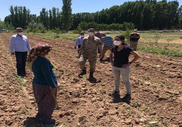 Yazıhan'ın 'Hanım Ağa' Kaymakamı tarlada