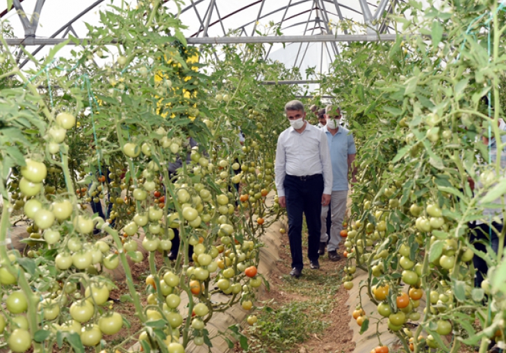 Yeşilyurt Belediyesi üreterek Tarıma Öncülük Yapıyor