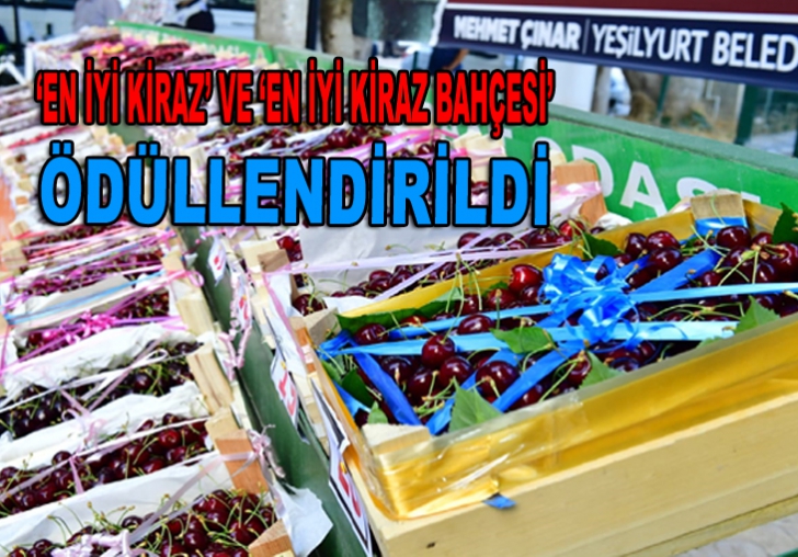 Yeşilyurt en iyi kirazı seçti